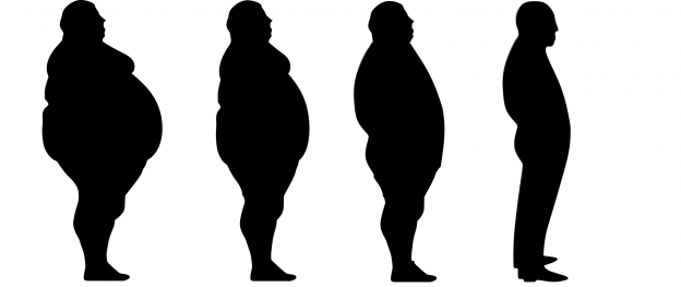 how to lose body fat in 2 weeks